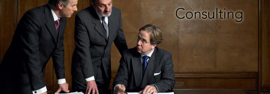 Consulting